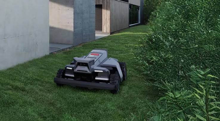 Large Lawns